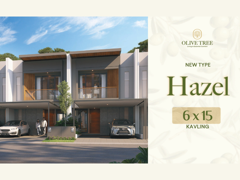 Olive Tree Tipe Hazel | Citraland Tallasa City