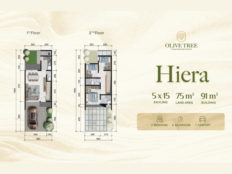 Olive Tree Tipe Hiera | Citraland Tallasa City