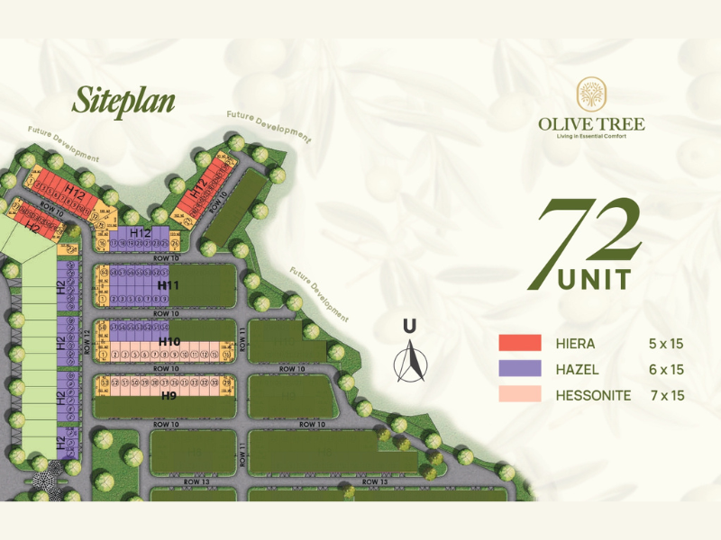 Olive Tree Tipe Hazel | Citraland Tallasa City